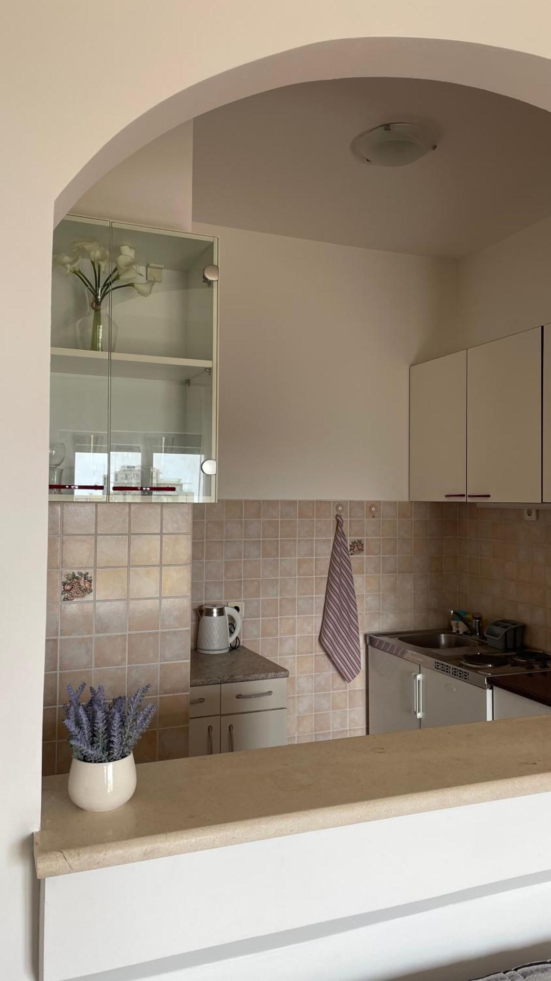 Apartment Tatjana Petrovac Εξωτερικό φωτογραφία